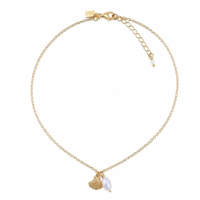 A delicate gold chain necklace featuring a small gold shell charm and a white pearl bead pendant, displayed on a clean white background.