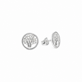 kimberley boab tree of life stud earrings in sterling silver designed in broome by Lush Designs