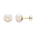 Button Pearl Stud Earrings