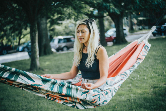 Coast To Coast Stripe Hammock - Canvas