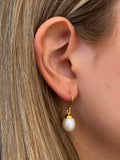 Coco White Pearl 10mm Hook Earrings crafted in premium gold vermeil over sterling silver featuring genuine white freshwater pearl drops suspended from polished gold hooks.