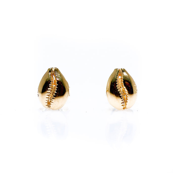 gold cowrie shell studs