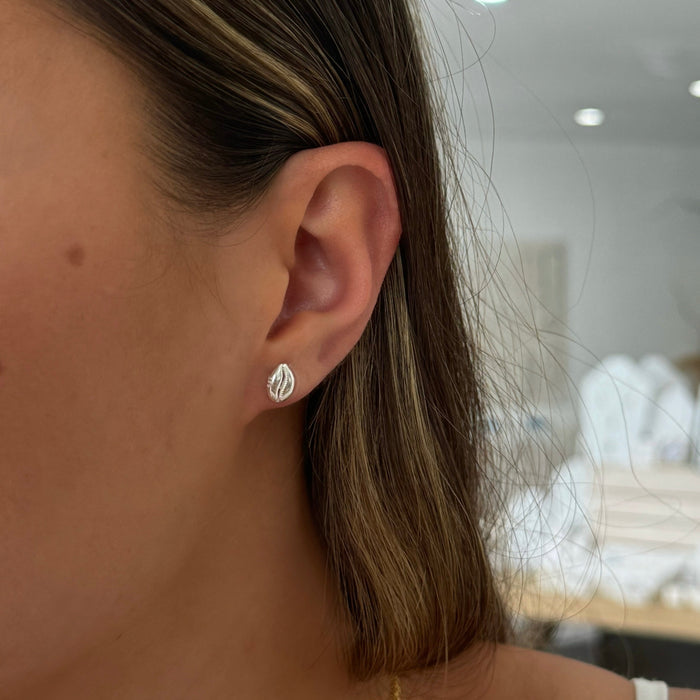 sterling silver cowrie shell stud earrings