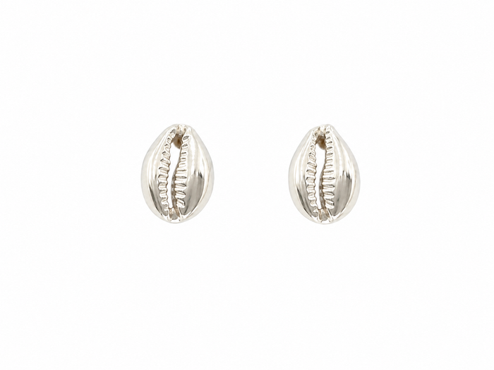 Cowrie Shell Studs Silver