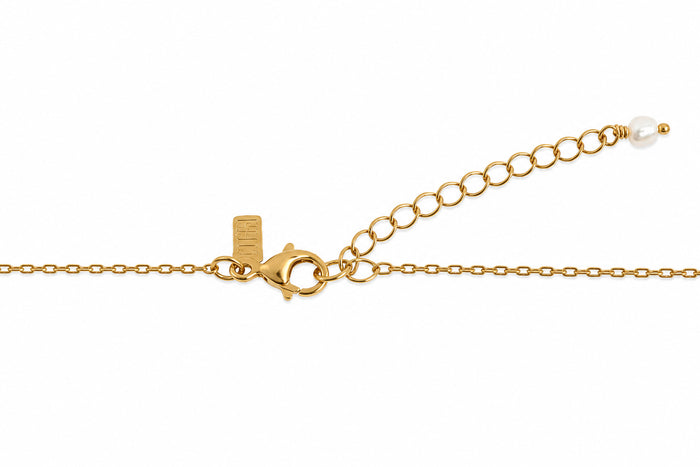 Dainty Boab Tree Pearl Necklace Gold Vermeil with 6mm Freshwater Pearl