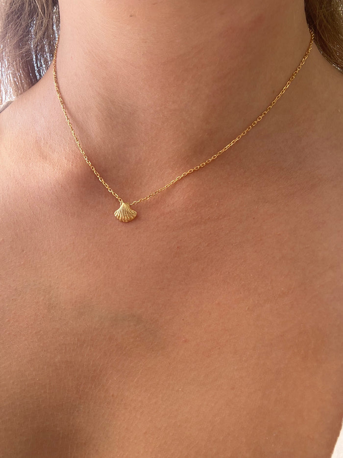 Dainty Shell Necklace Gold | Ocean Inspired Jewellery