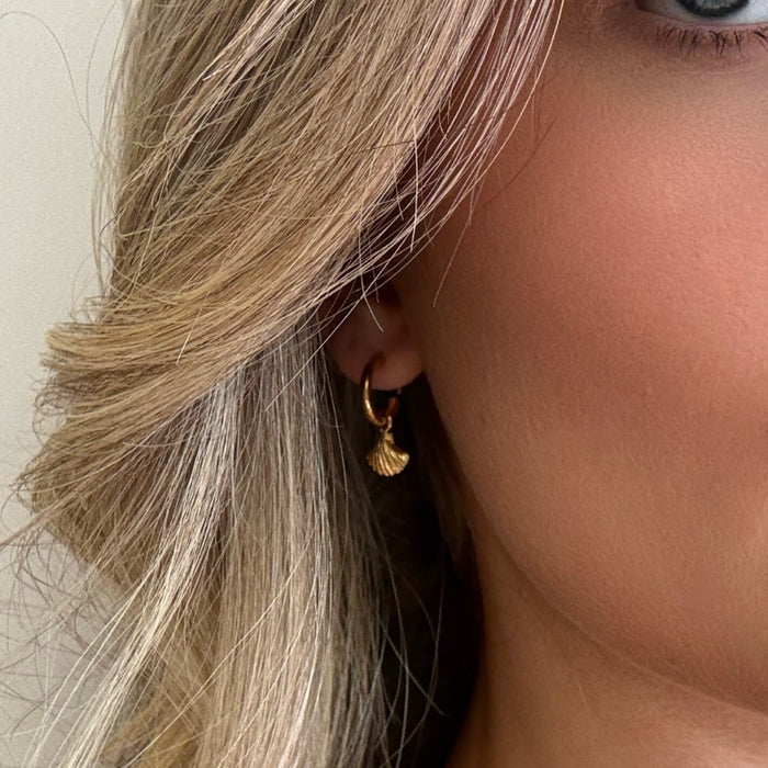 Gold shell sleeper earrings