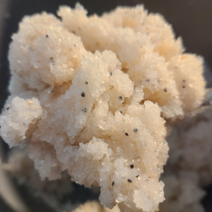 Dead Sea Salt Scrub