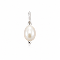 A single freshwater pearl pendant in a silver setting.