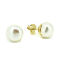 bold keshi pearl 14mm studs earrings set in gold vermeil