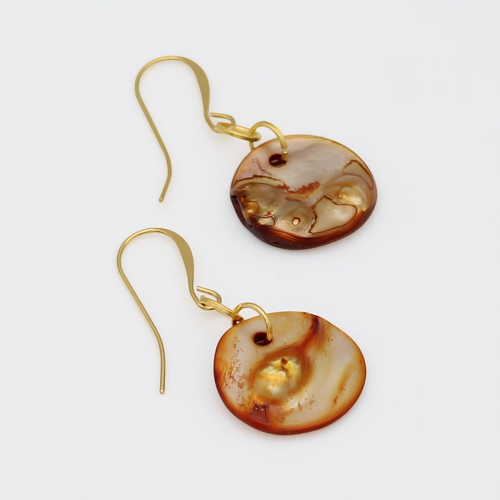 Pair of gold earrings with brown circular stones on a white background