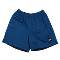 Nike SB Shorts - Midnight Navy/Court Blue