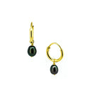 Sea Goddess midnight freshwater pearl sleeper earrings gold 7mm designed in Broome Australia