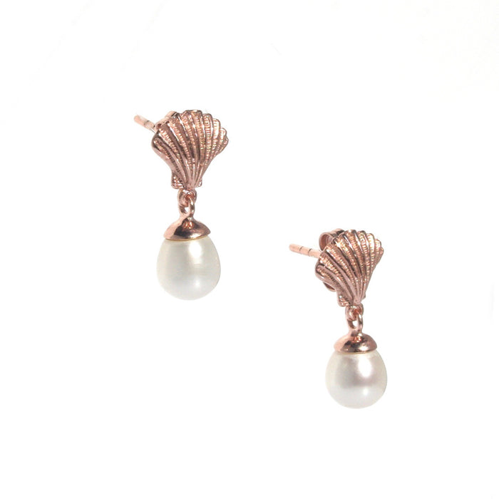 shell earrings
