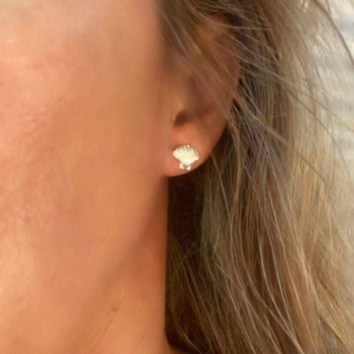 Shell studs silver