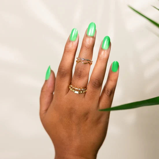 Succulents and Palms, Soleil ~ Medium Oval