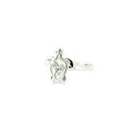 silver turtle ring inspired by Broome estern Australia