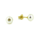 small white pearl studs set in gold vermeil designed in broomewestern australia