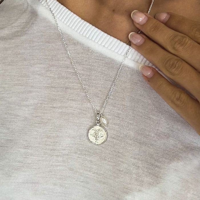 sterling silver reversible capricorn zodiac necklace